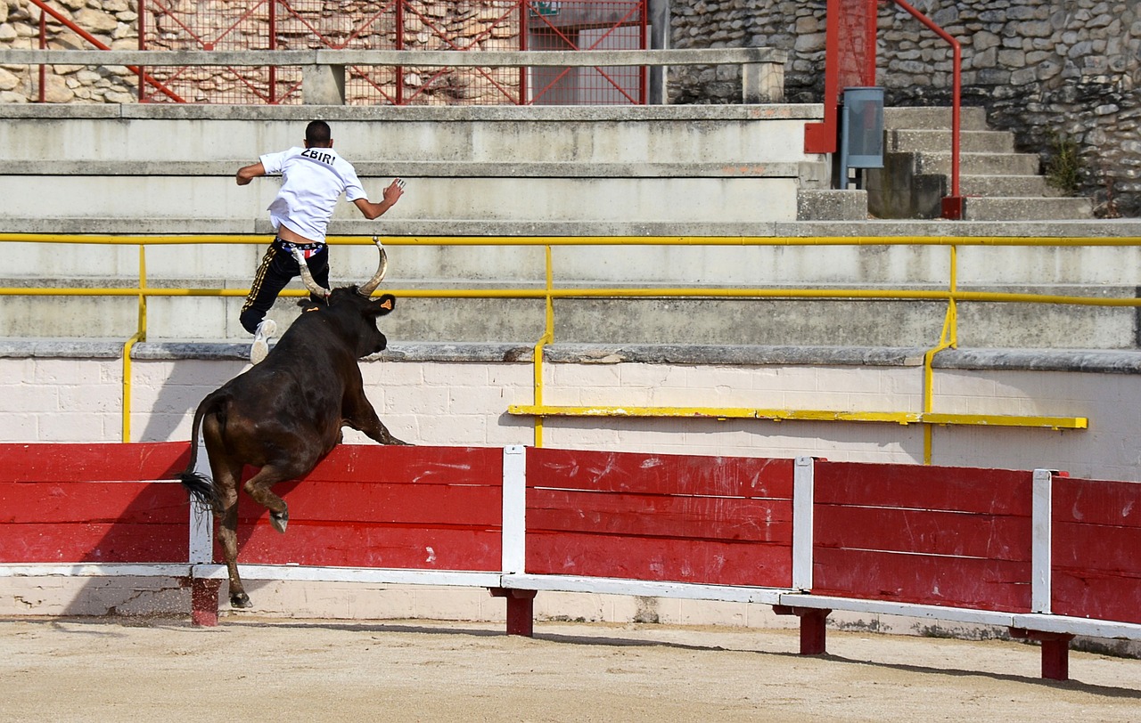 而在皇家馬