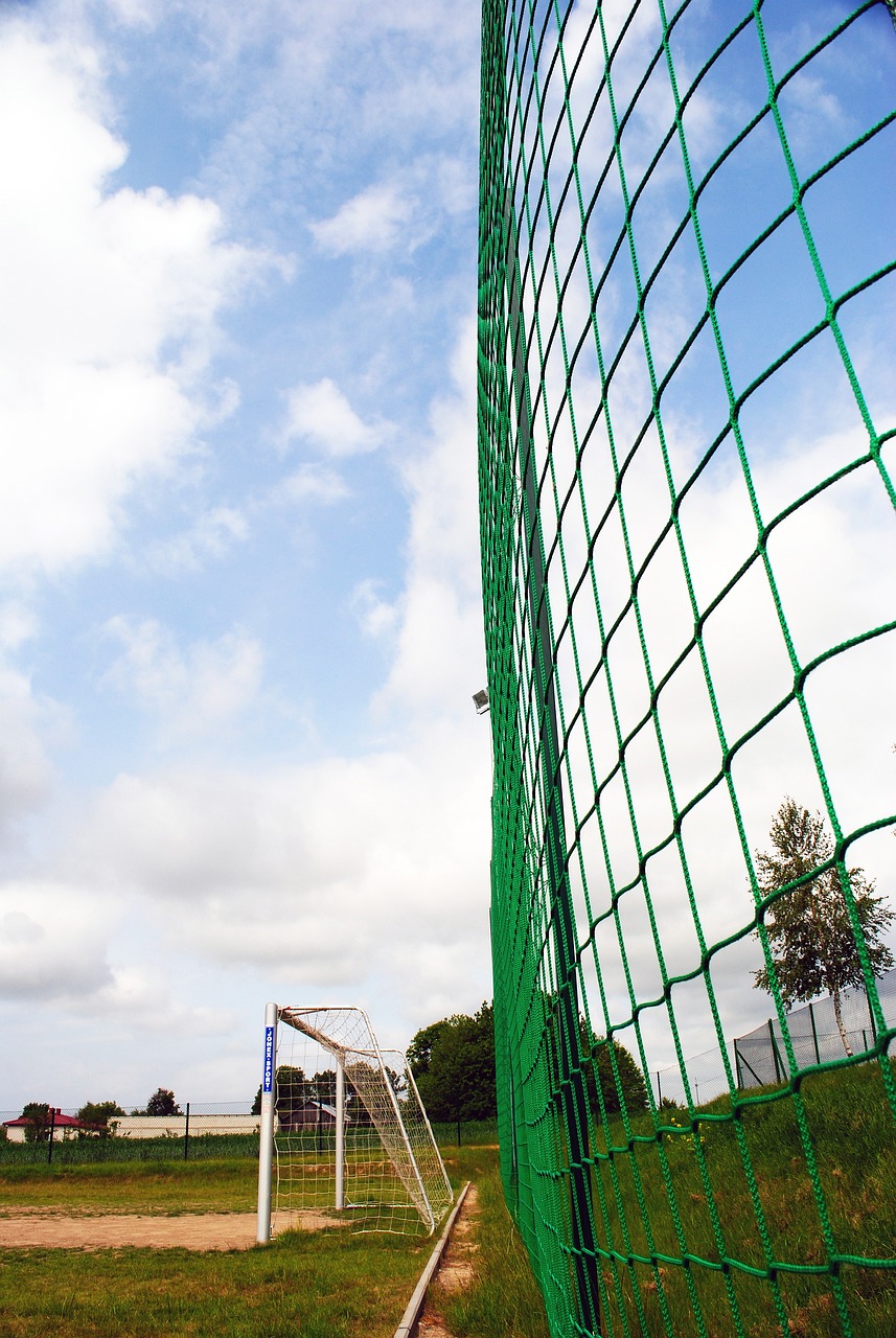 他们在世界 他们在世界