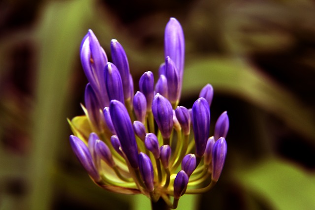 赛事模拟训 赛事模拟训