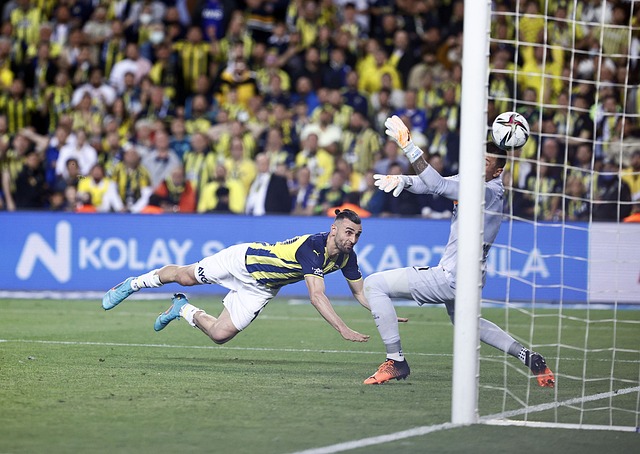 但內馬尼亞 但內馬尼亞