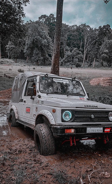 C罗和马内 C罗和马内