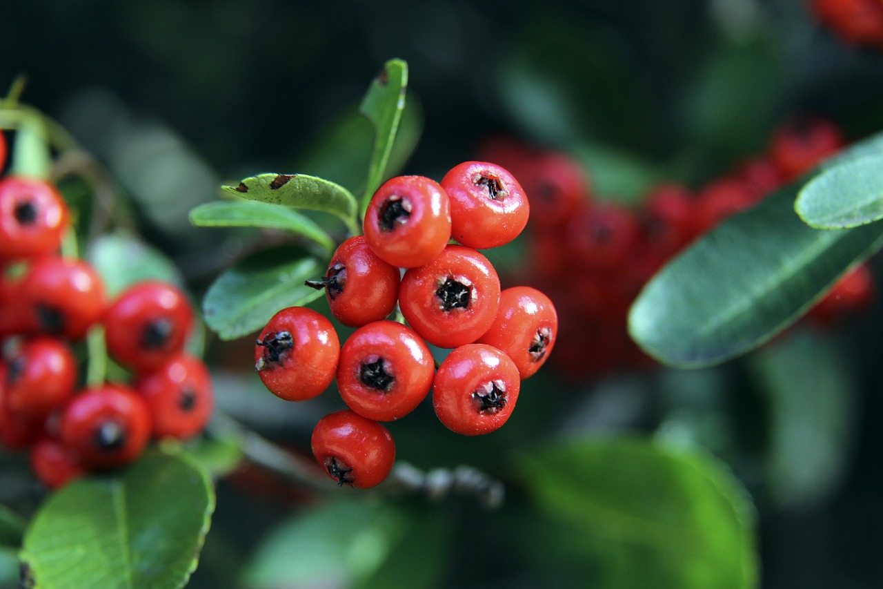 带来激动人 带来激动人
