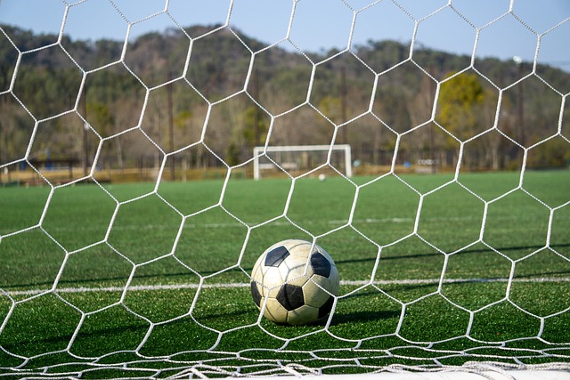 和娴熟的传 和娴熟的传