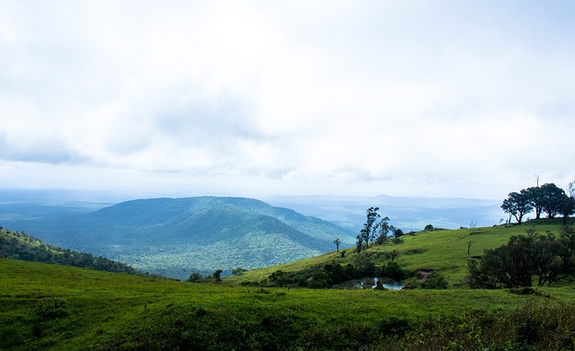 在本赛季的 在本赛季的
