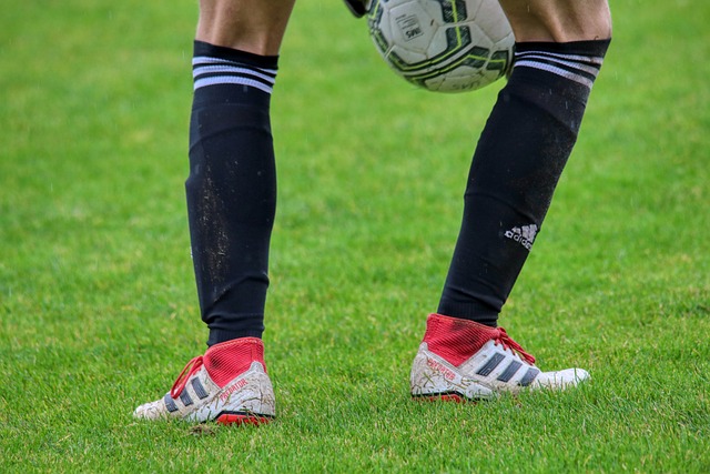 无论是豪华 无论是豪华